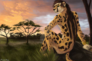 Serengeti Sunset by Damalynn