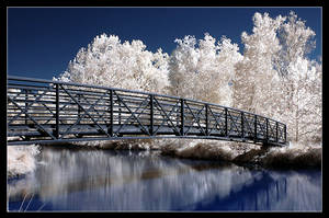 Bridge in false color infrared by snailfan-man