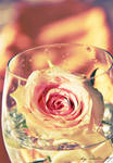 rose in the glas by coolke