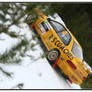 Snowman Rally 2009