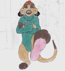 Renaissance Timon