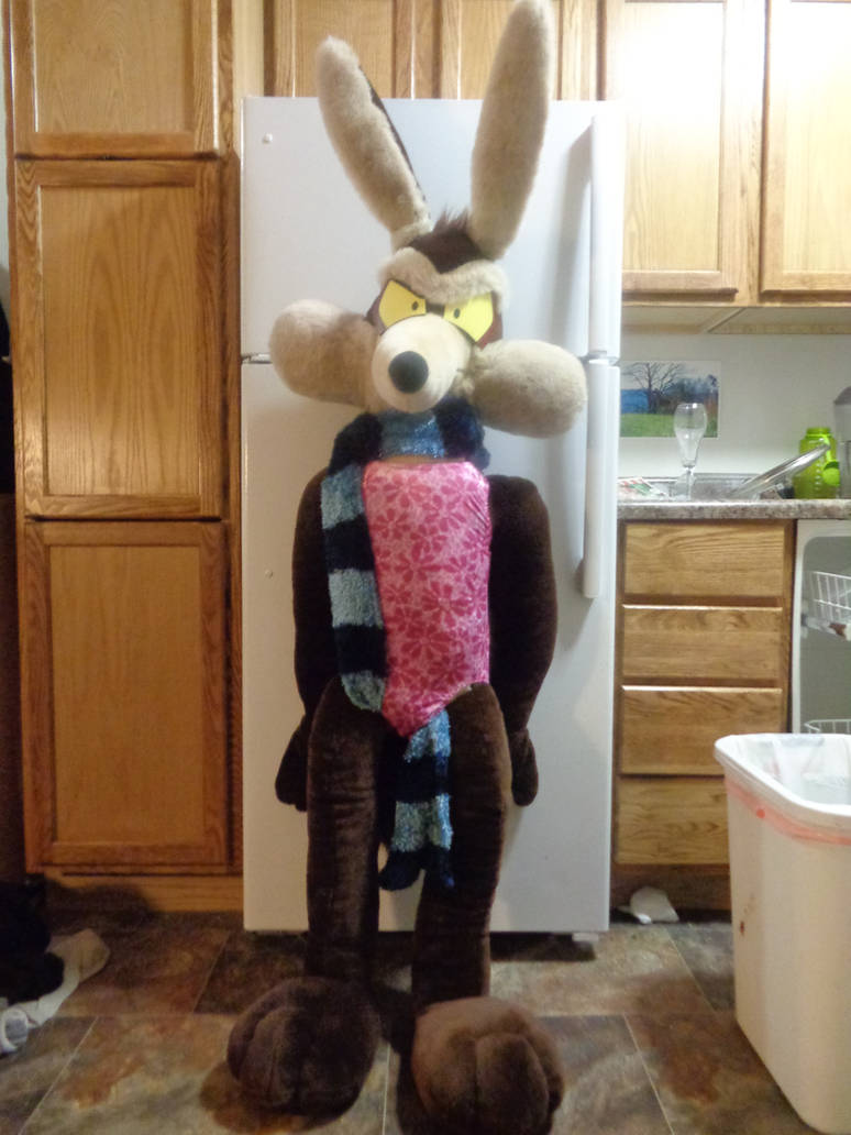 Large lifesize stuffed Wile E Coyote plush toy 1 by Timon-Berkowitz on  DeviantArt