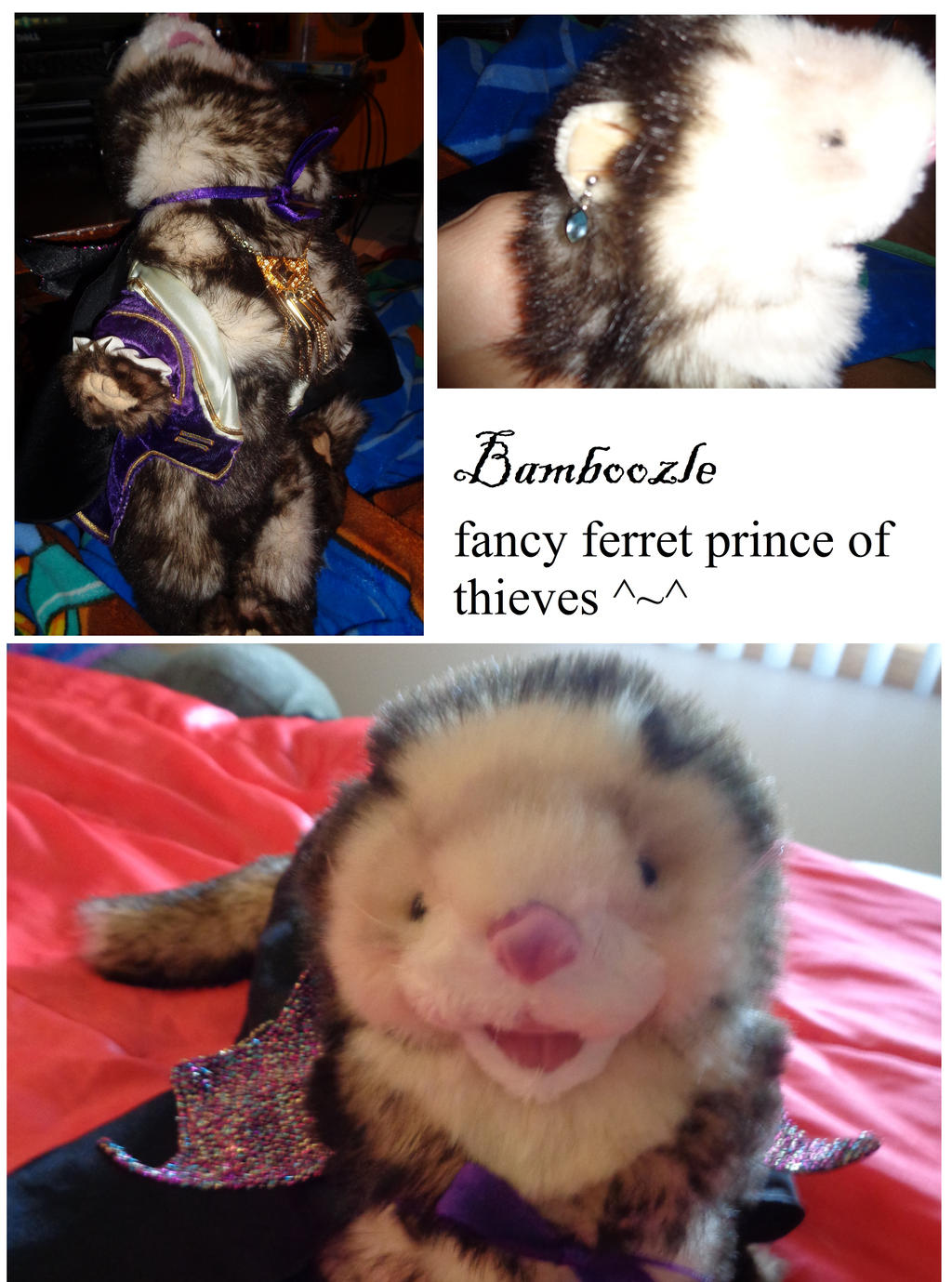 Bamboozle: fancy ferret prince of thieves! by Timon-Berkowitz on DeviantArt