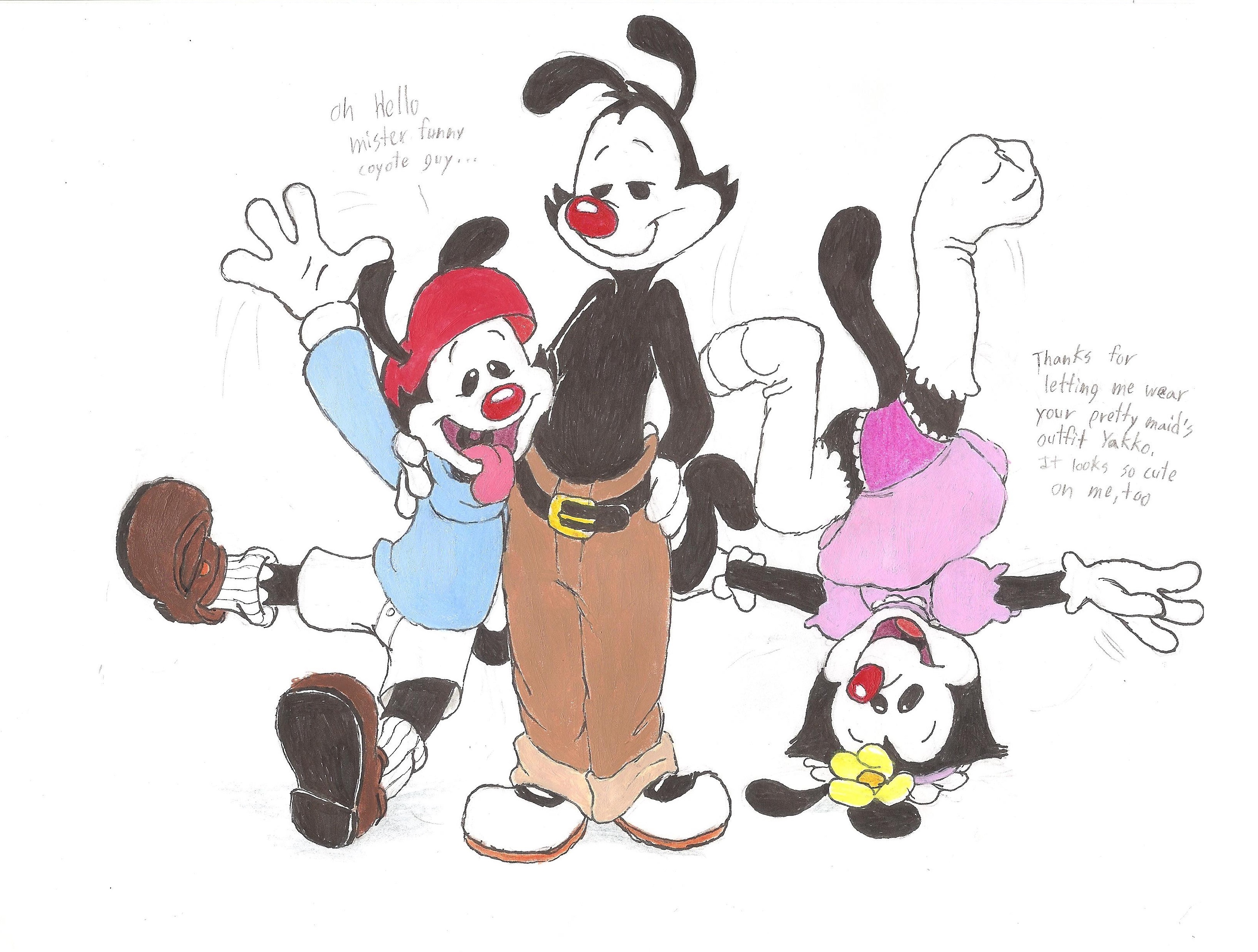 Yakko Wakko And Dot Warner By Timon Berkowitz On DeviantArt 