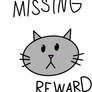 Missing Cat