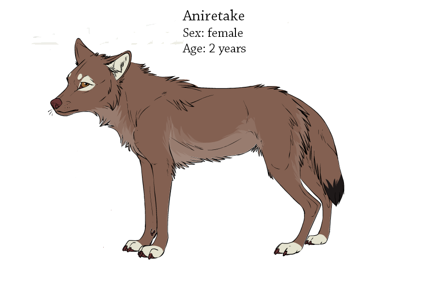 Aniretake ref sheet