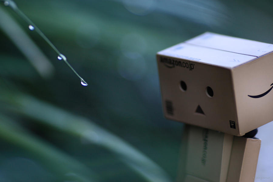 Contemplation of danbo