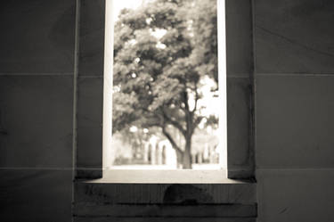 University windows