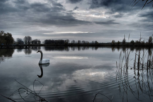 Alone on the lake