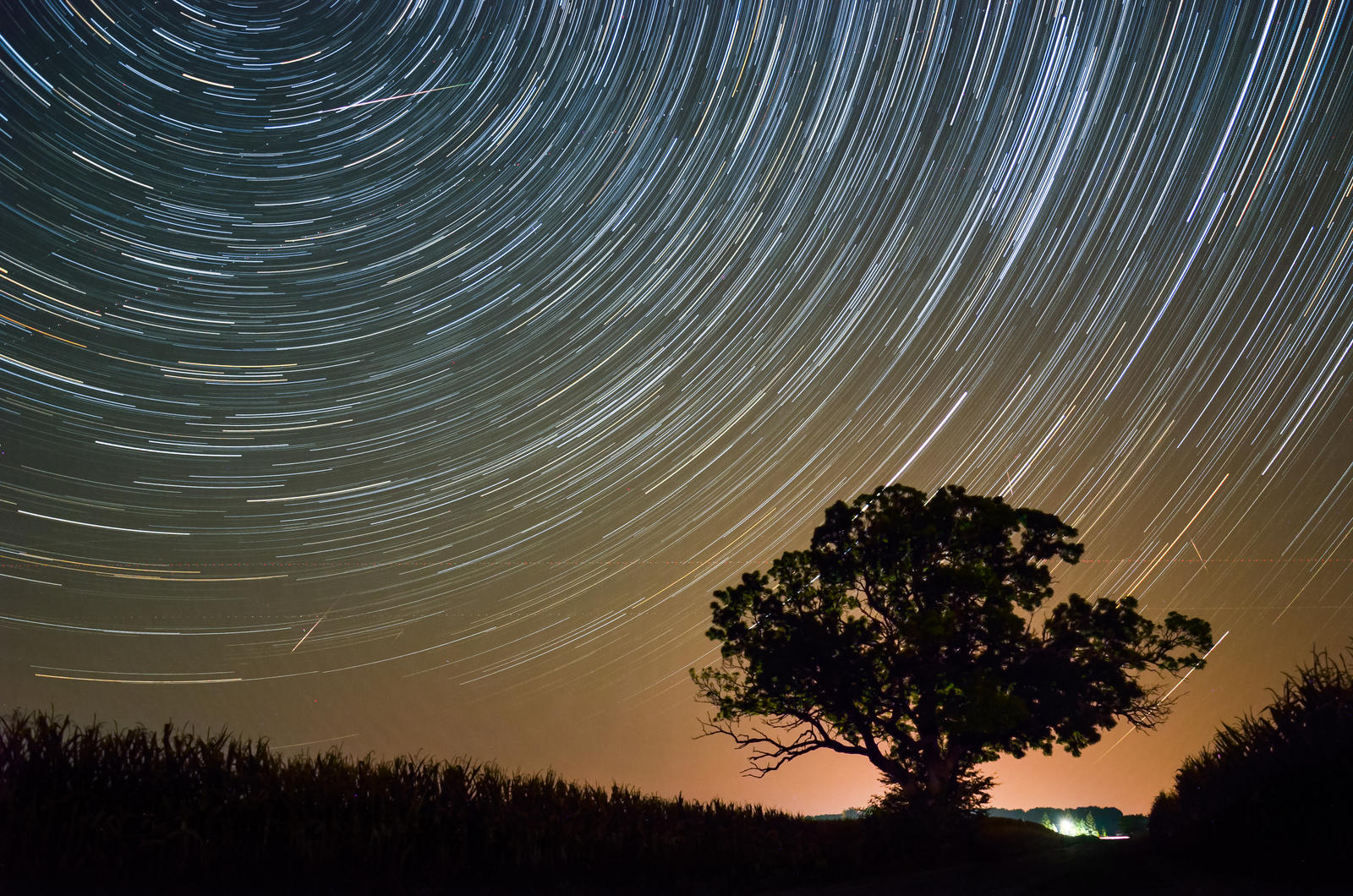 Startrail with Perseids