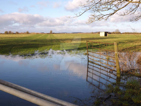 Reflections on flooded field