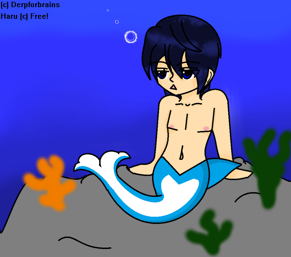 Half Dolphin half Haruka XD