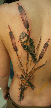 blue tit with abstract reed tattoo