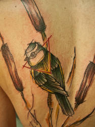 blue tit tattoo with some abstract reed