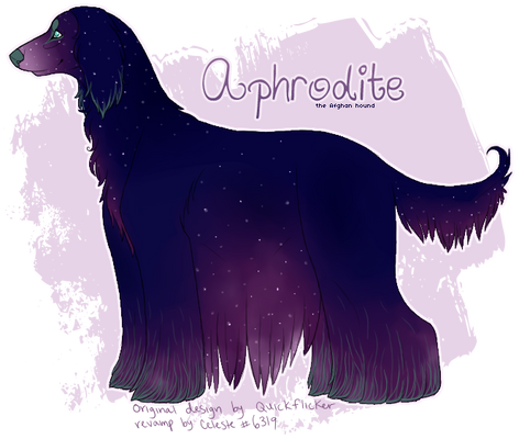 Galaxy afghan hound