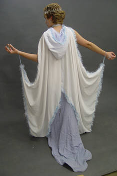 Ice-snow queen stock 2- back