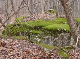 Green mossy stone stock