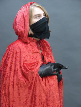 Hooded figure with crow-raven2