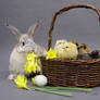 Easter stock 2