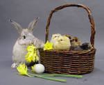 Easter stock 2 by InKi-Stock