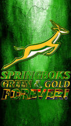 Springboks2