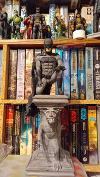 Batman and gargoyle 