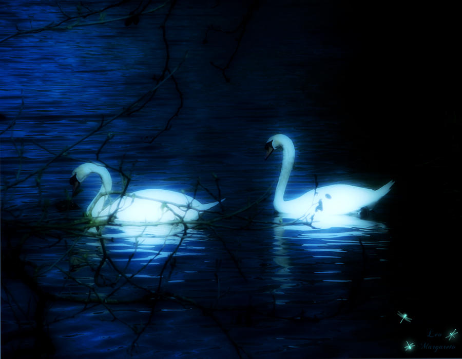 Луна лебединая. Лебединое озеро белый лебедь. Лебедь ночью. Лебеди на озере. Озеро с лебедями фэнтези.