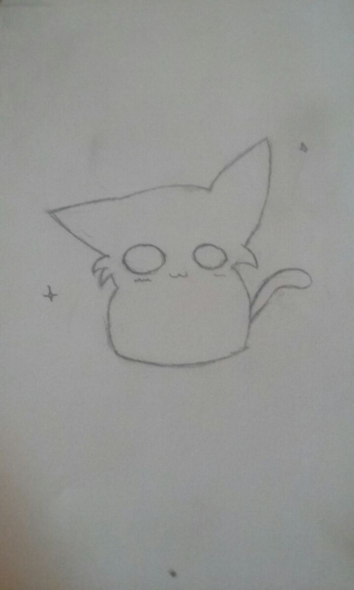 Look I Drew a Cat