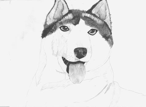 Husky WIP