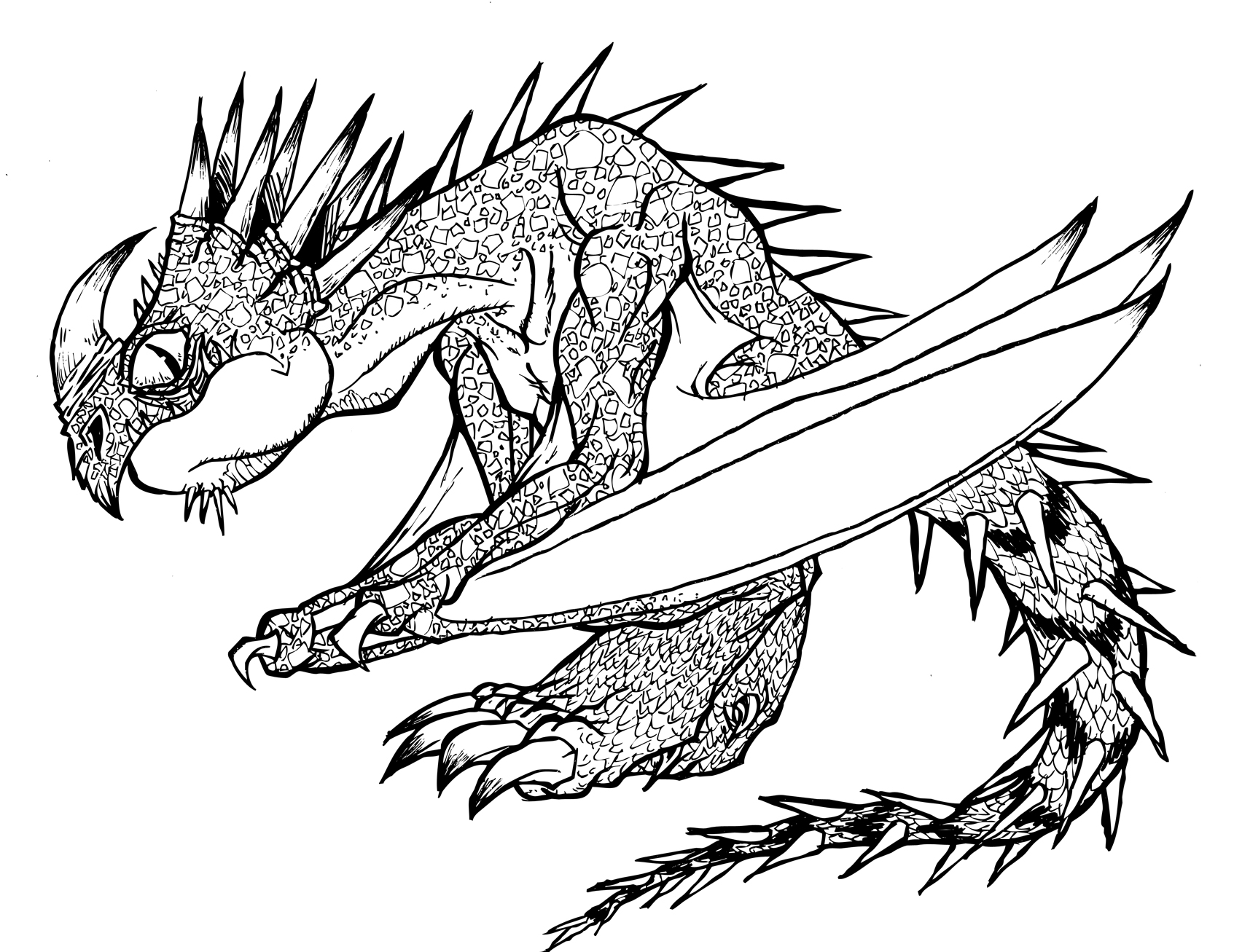 Deaddly Nadder B W by dragonfetus on DeviantArt