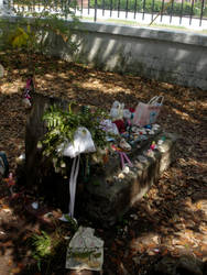 child grave