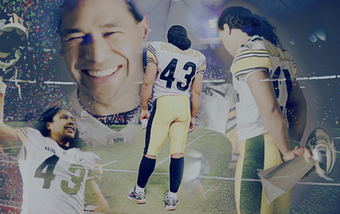 Troy polamalu