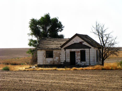 Abandoned house