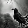 Raven #5