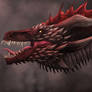 Drogon Headshot