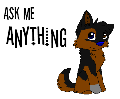 Ask Wolfy!!
