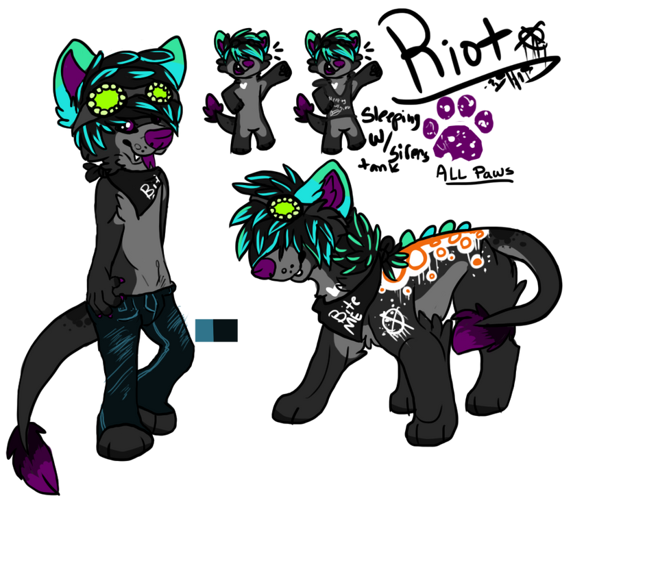 Riot's Reference Sheet 2014 by Haaaze on DeviantArt