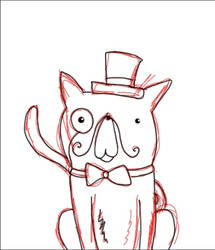 fancy cat Tom Tom