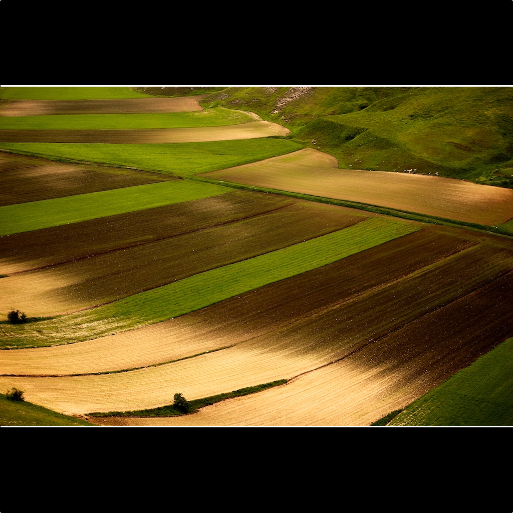 Castelluccio