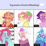 MLP G5: Expression Practice
