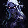 Dark Elf Assassin 2/3