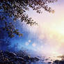 Forest Rain