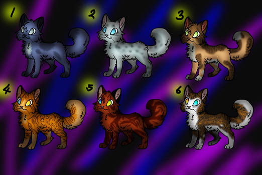 ::Warrior Cat Adoptables::