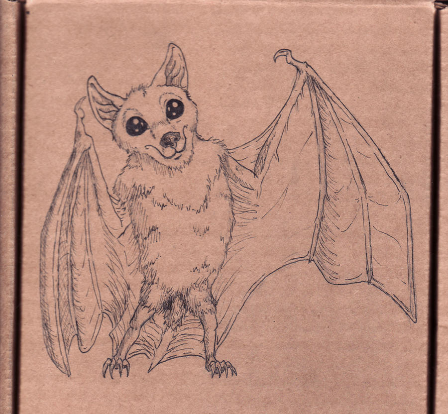 Cute Bat Drawing by CelesteMoon on DeviantArt