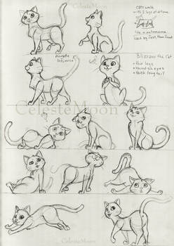 Blizzard the Cat Concept Poses