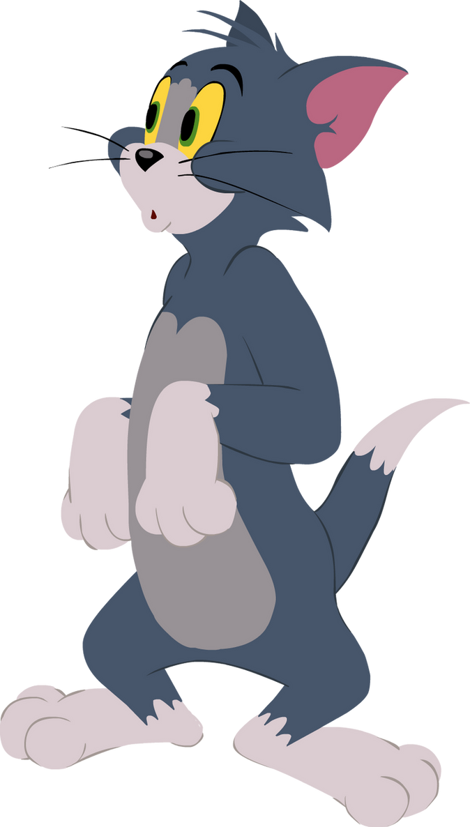 Mortal Kombat 1: Tom Cat by masondcshg on DeviantArt