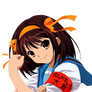 Haruhi Suzumiya Vexel