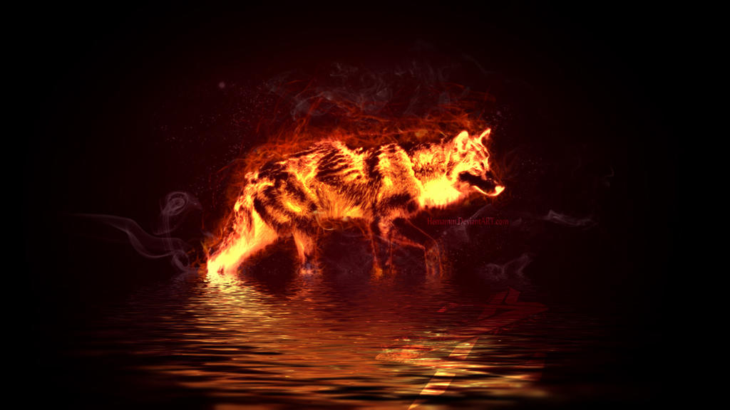 pix Lava Wolf Pictures lava wolf by vortexgaming129 on deviantart