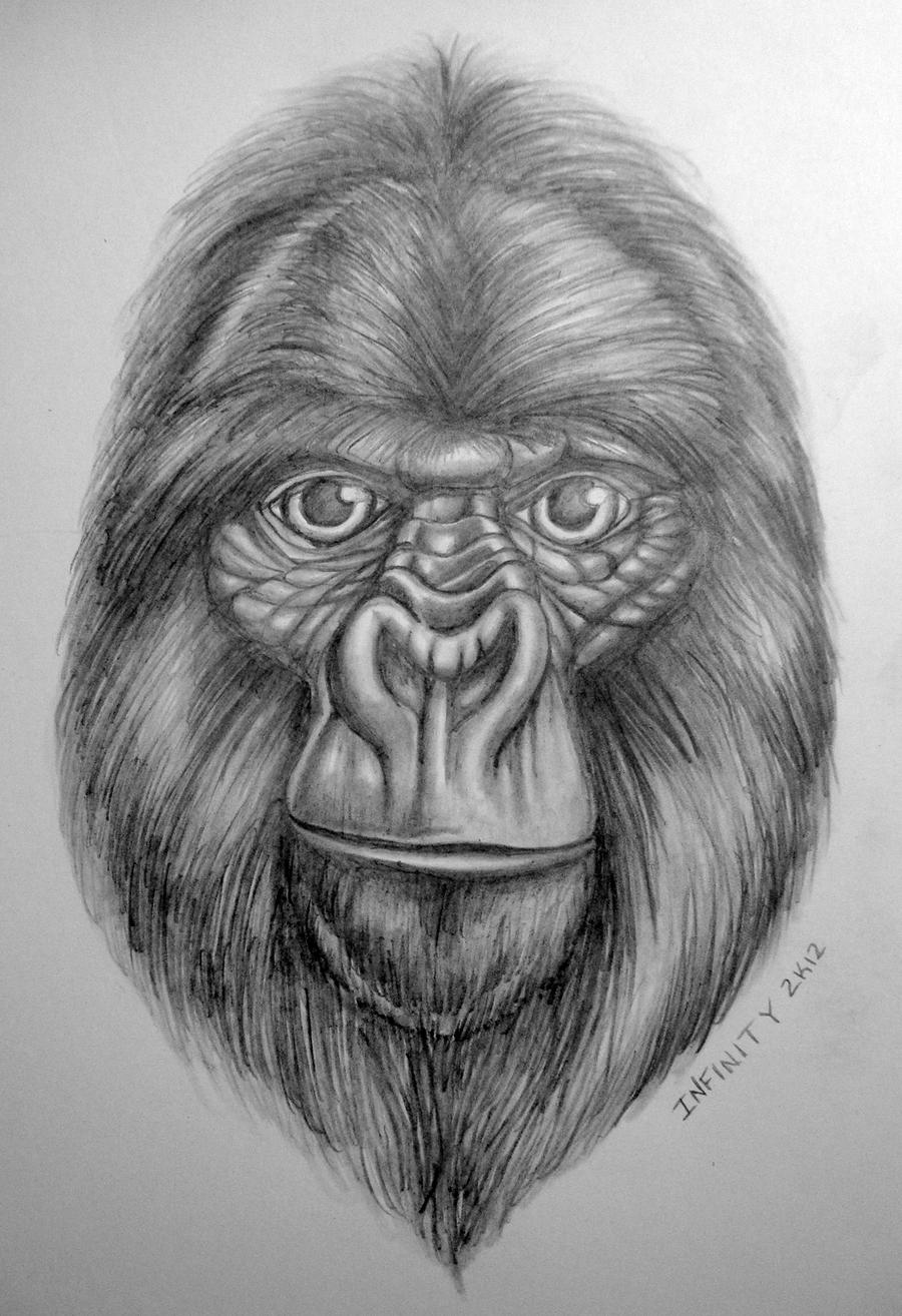 Gorilla Pencil Sketch w/ shading by Diamonicus on DeviantArt
