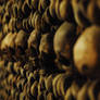 Catacombes de Paris